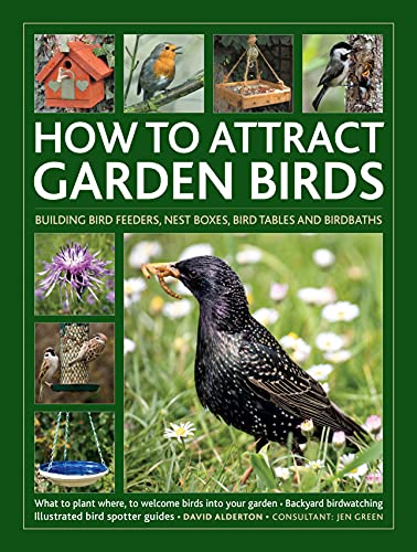 How to Attract Garden Birds : What to plant; Bird feeders, bird tables, birdbaths; Building nest boxes: Backyard birdwatching, with illustrated directories of common garden birds