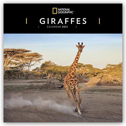 WWF Giraffes - Giraffen 2024: Original Carousel-Kalender [Mehrsprachig] [Kalender]