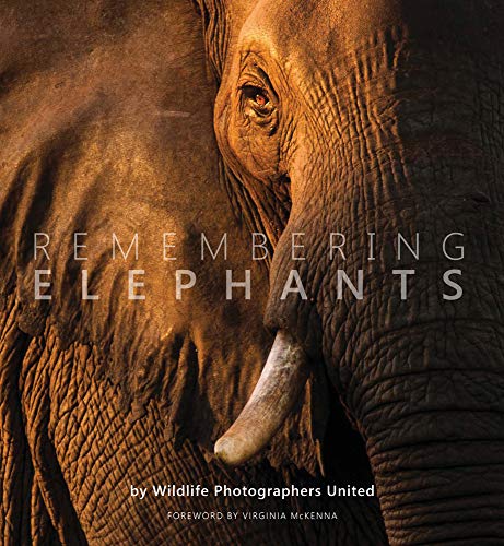 Colourful wildlife photography book with elephant images on a plain background cover.