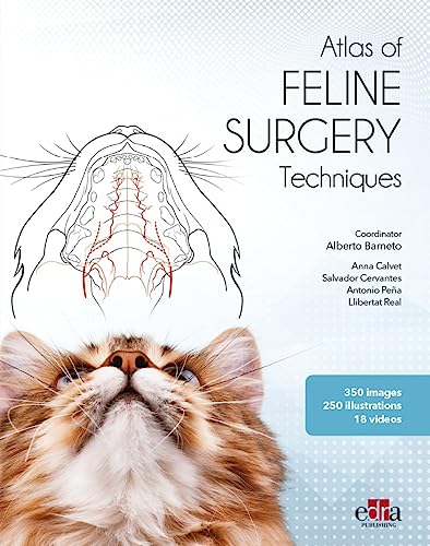 Feline surgery