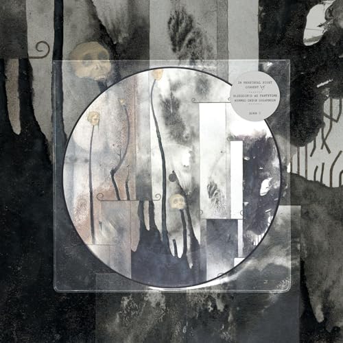 Current 93 - In Menstrual Night (12" Picture Disc) [VINYL]