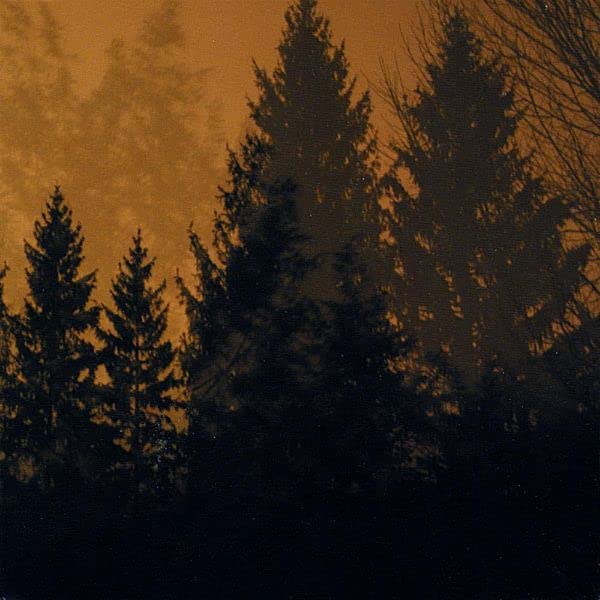If These Trees Could Talk - Above The Earth, Below The Sky [VINYL]