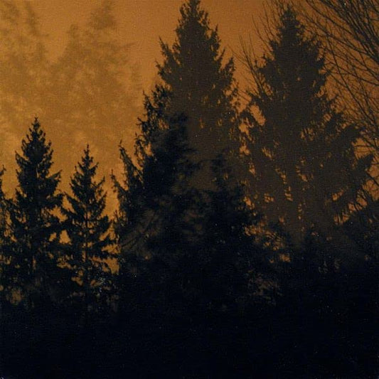 If These Trees Could Talk - Above The Earth, Below The Sky [VINYL]
