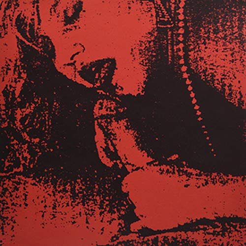 Thirdorgan - The Pornographer Of Despair  [VINYL]