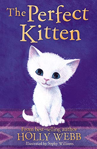 The Perfect Kitten: 41 (Holly Webb Animal Stories (41))