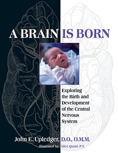 A Brain Is Born: Exploring the Birth and Development of the Central Nervous System