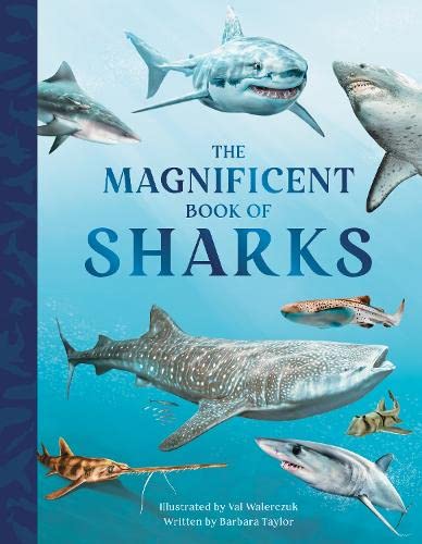 The Magnificent Book of Sharks (The Magnificent Books of: Animals): 3