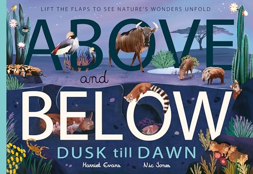 Above and Below: Dusk till Dawn : Lift the flaps to see nature's wonders unfold