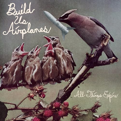 Build Us Airplanes - All Things Expire [VINYL]