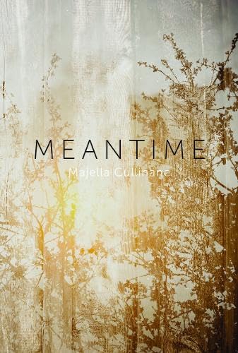 Book cover with title and author name on a background with possibly clock elements.