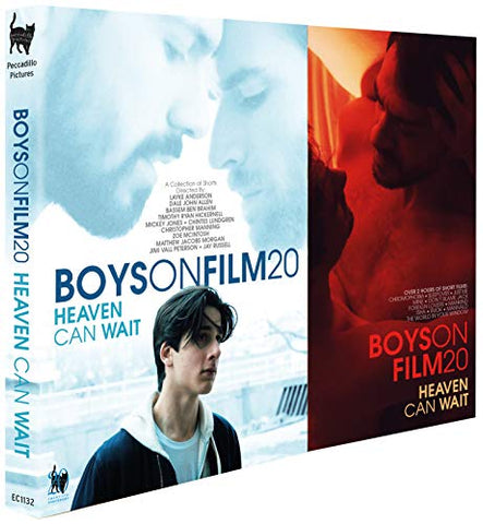 Boys On Film 20 [DVD]