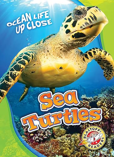 Sea Turtles