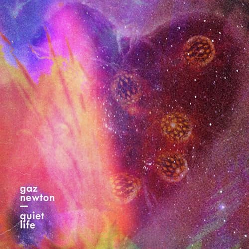 GAZ NEWTON - QUIET LIFE [CD]
