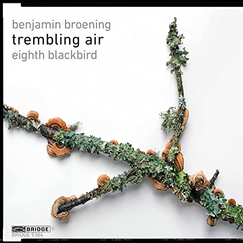 Eighth Blackbird - Broening: Trembling Air [CD]