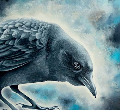 Close-up of a dark bird, possibly a raven, against a cloudy blue background.