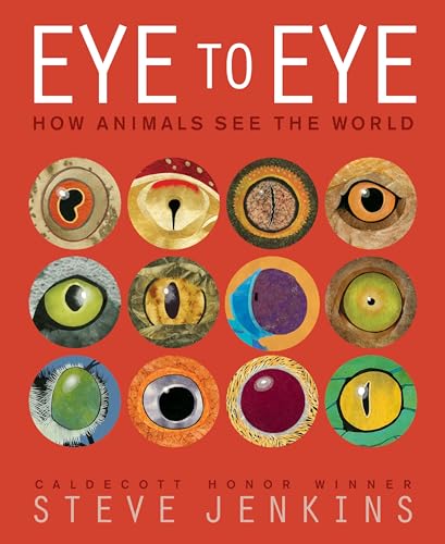 Eye to Eye/How Animals See the World : How Animals See the World