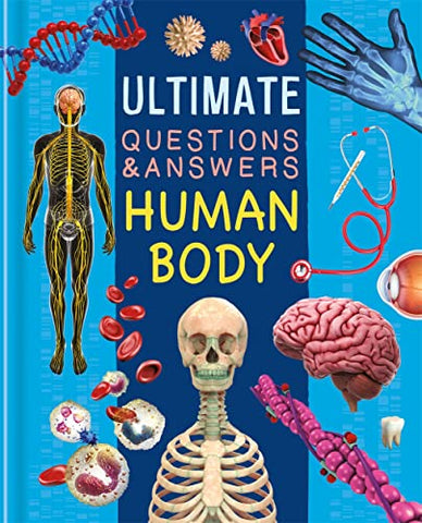 Ultimate Questions & Answers: Human Body