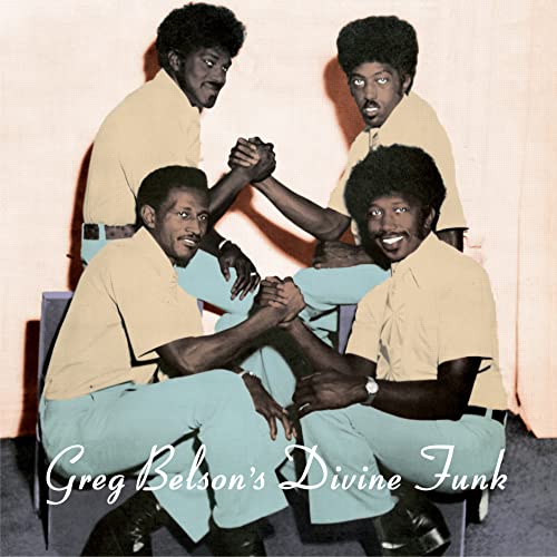 Various - Greg Belson's Divine Funk  [VINYL]