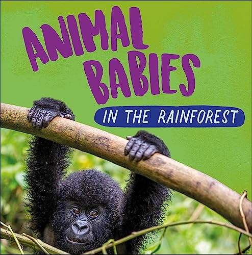Animal Babies: Rainforest Babies