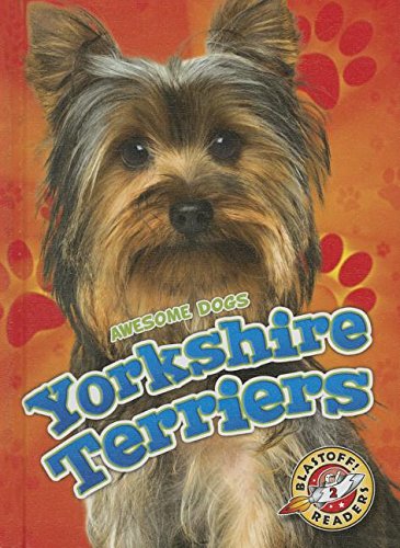 Yorkshire Terriers (Awesome Dogs)