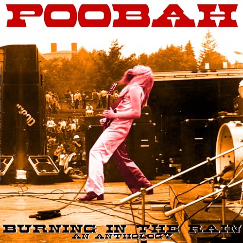 Poobah - Burning In The Rain: An Anthology [VINYL]