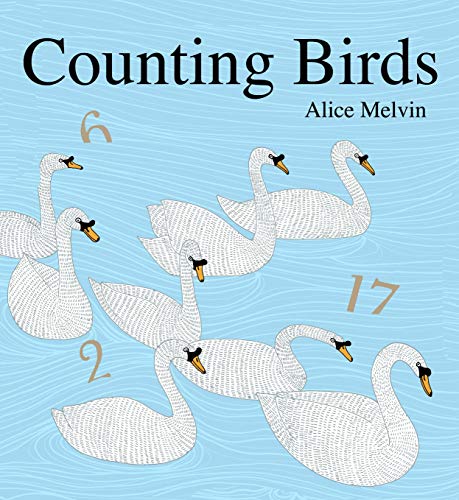 Counting Birds: 1