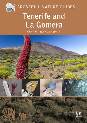 Tenerife and La Gomera : Canary Islands – Spain : 40