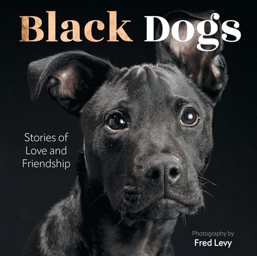 Black Dogs : Stories of Love and Friendship