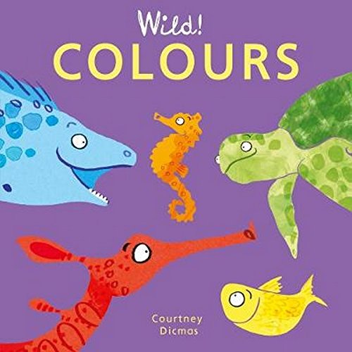Colours (Wild! Concepts (4))