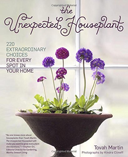 The Unexpected Houseplant : 220 Extraordinary Choices for Every Spot in Your Home