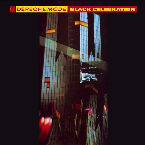 Various - Black Celebration (Ogv) [VINYL]
