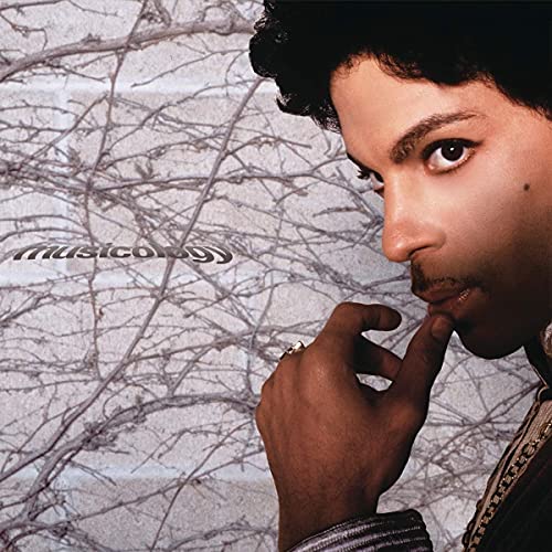 Prince - Musicology [VINYL]