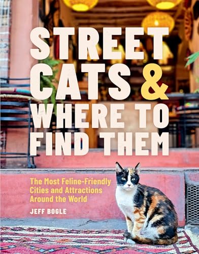 Street Cats & Where to Find Them : The Most Feline-Friendly Cities and Attractions Around the World