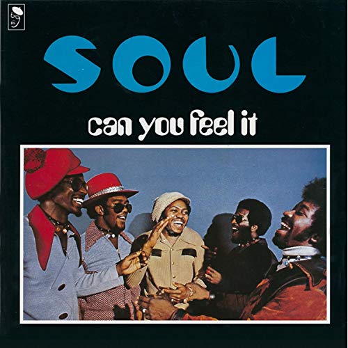 S.o.u.l. - Can You Feel It  [VINYL]