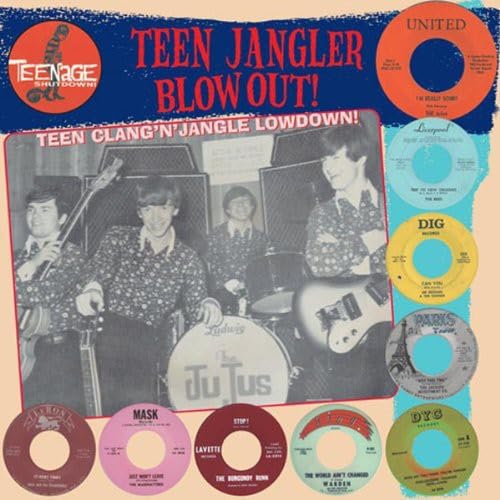 Various Artists - Teenage Shutdown - Teen Jangler Blowout! [VINYL]