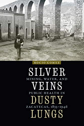 Silver Veins