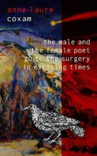 The Male and the Female Poet Go to the Surgery in Exciting Times : and Other Poems