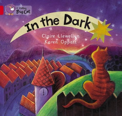 In the Dark: A patterned non-fiction text with atmospheric illustrations to show what happens in the dark. (Collins Big Cat): Band 02a/Red A
