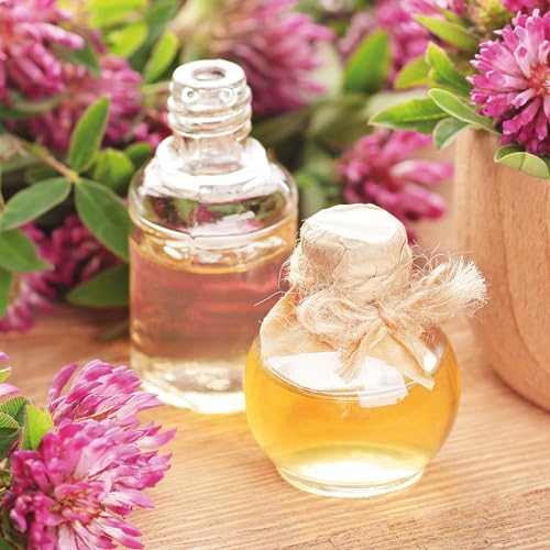 The Little Wild Library: Clover : Simple Things to Do with the Plants Around You.