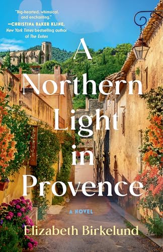 A Northern Light in Provence : A Novel