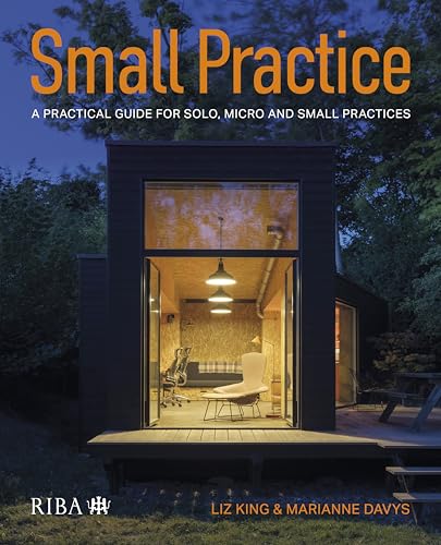 Small Practice : A practical guide for solo, micro and small practices