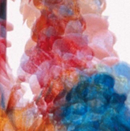 Various - Skit I Allt [CD]