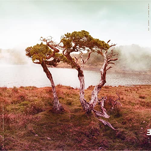 Slowly Rolling Camera - Juniper [CD]