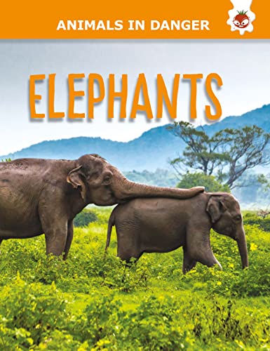 Elephants - Animals In Danger