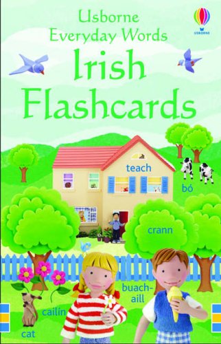 Usborne Everyday Words: Irish Flashcards (Everyday Words Flashcards)