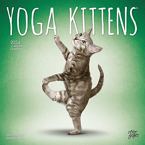 Yoga Kittens OFFICIAL | 2024 12 x 24 Inch Monthly Square Wall Calendar | Sticker Sheet | StarGifts | Animals Humor Cats Feline
