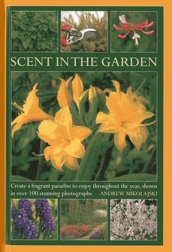 Scent in the Garden : Create a Fragrant Paradise to Enjoy Throughout the Year, Shown in 100 Stunning Photographs