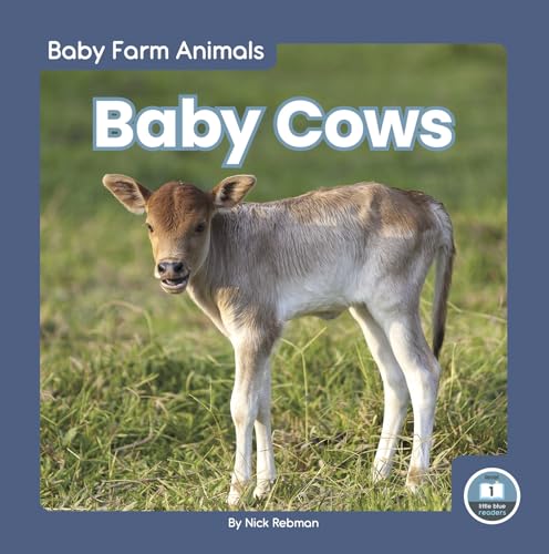 Baby Cows