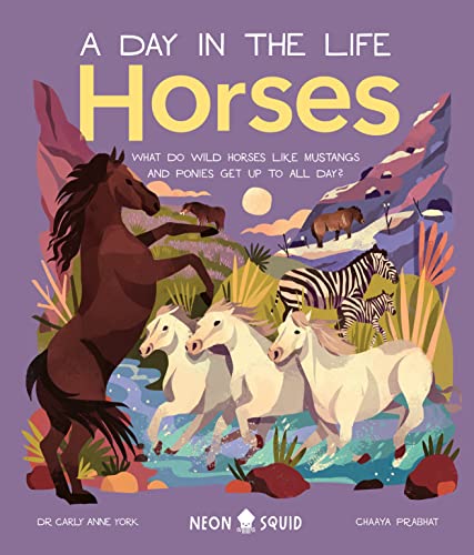 Horses (A Day in the Life) : What Do Wild Horses like Mustangs and Ponies Get Up To All Day?