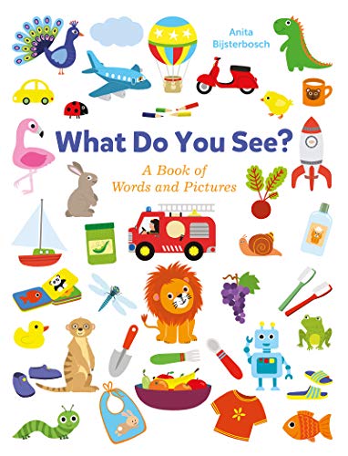 What Do You See? A Book Full of Words and Pictures: A Book of Words and Pictures
